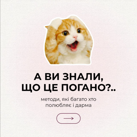 Изображение из Instagram